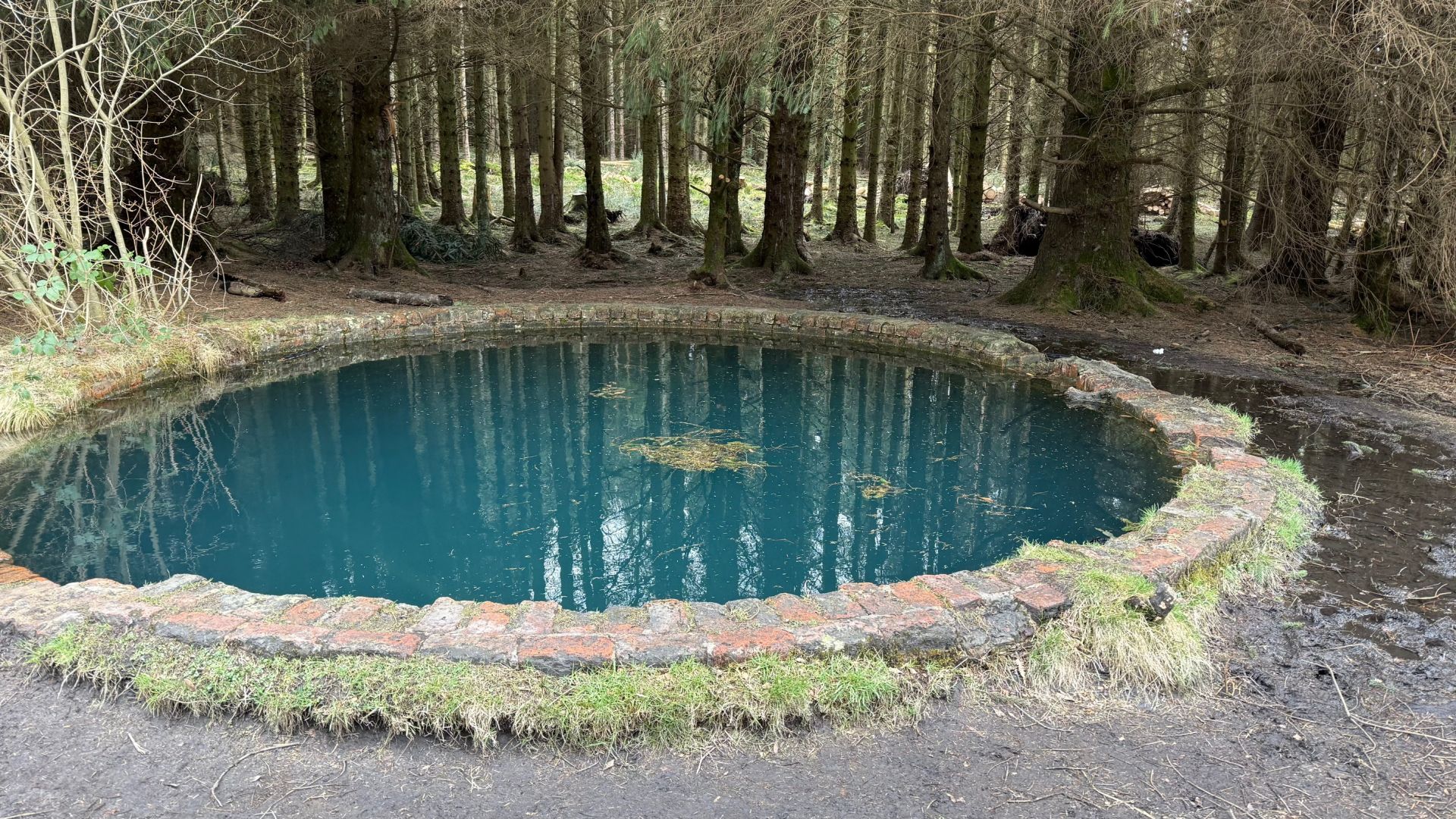 Blue pool